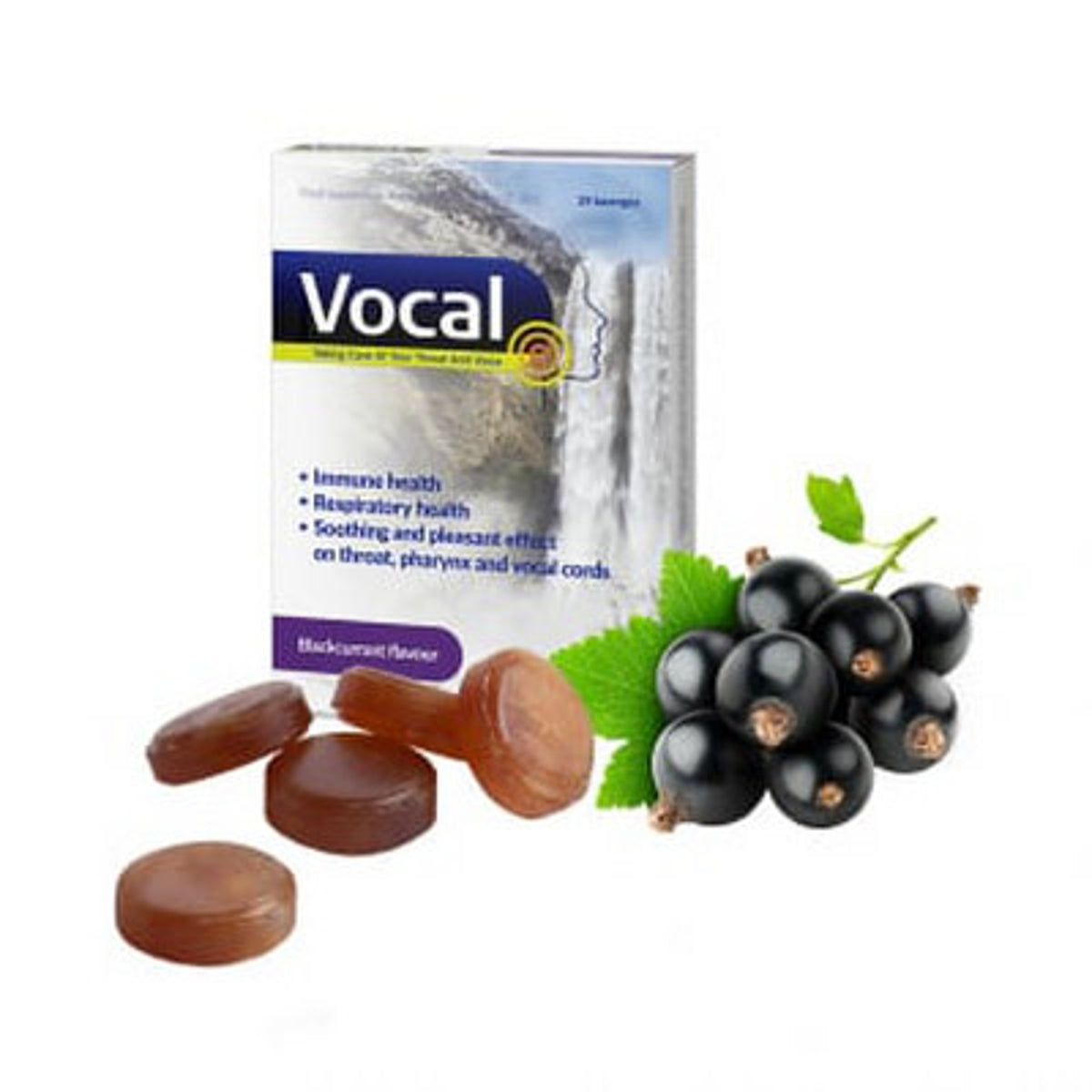 Vocal juodųjų serbentų skonio pastilės, 24 vnt.